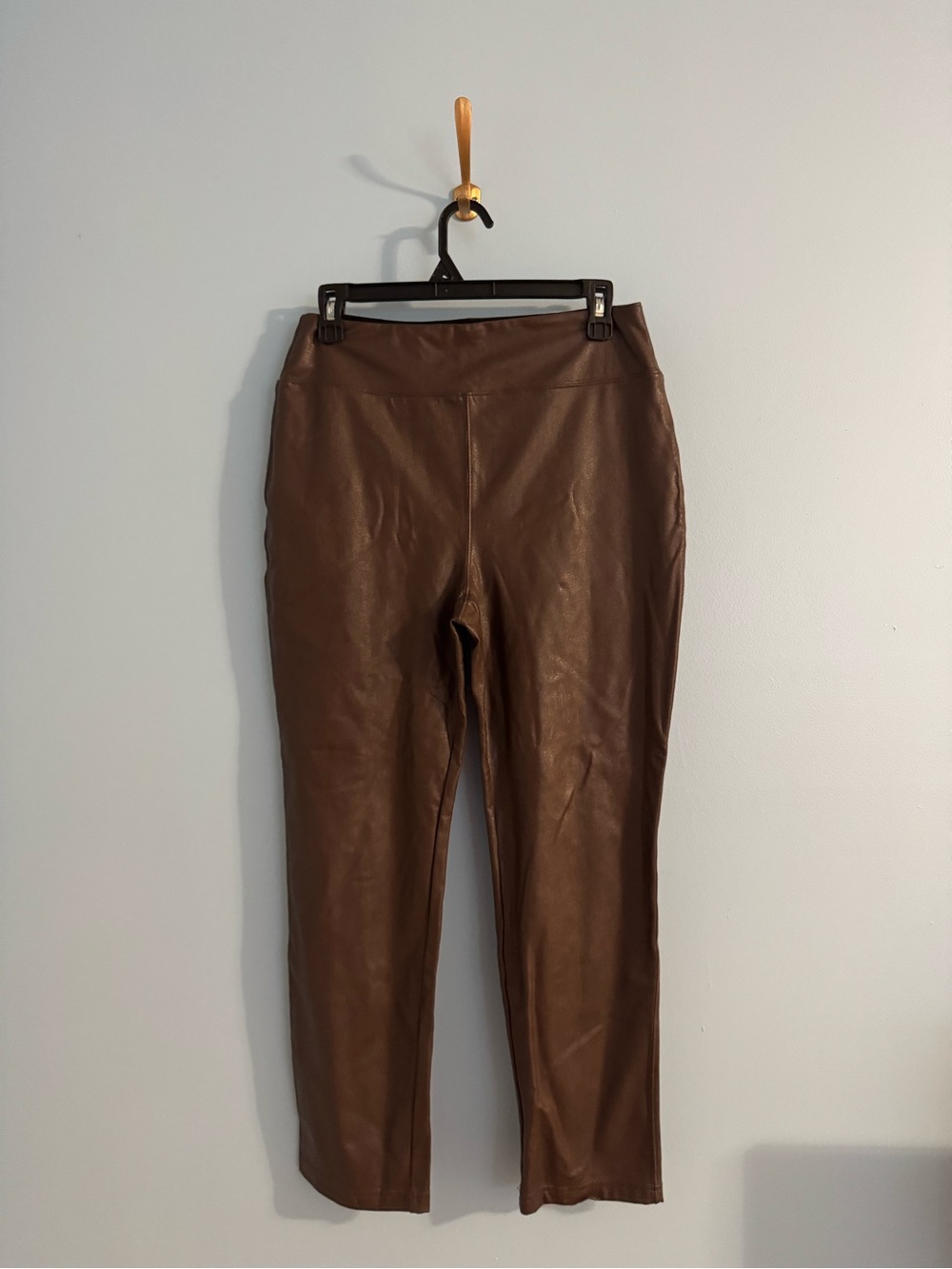 Tuckernuck brown faux leather pants size L